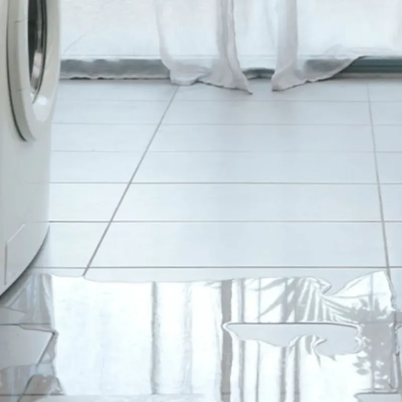 Appliance Leak Cleanup in La Grange, NC