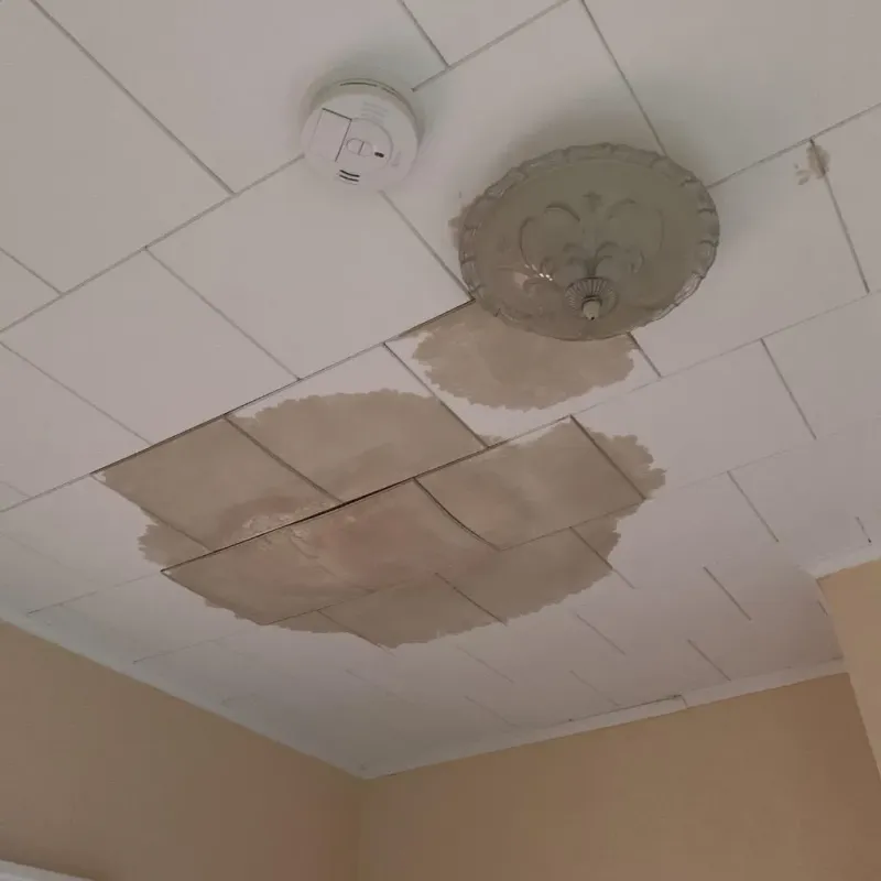 Ceiling Water Damage Repair in La Grange, NC