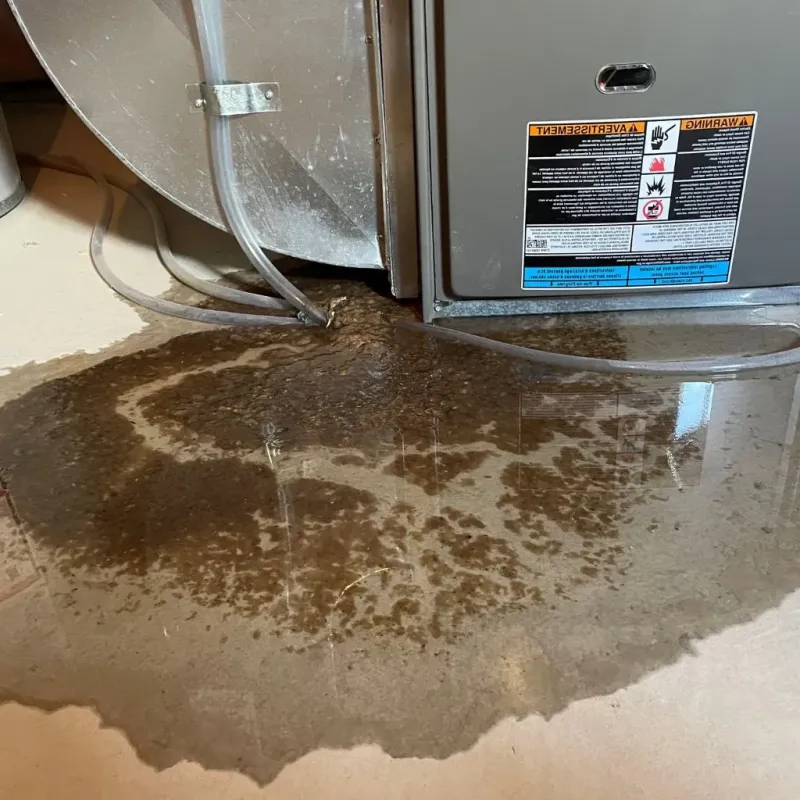 Pipe Burst and Leak Restoration in La Grange, NC