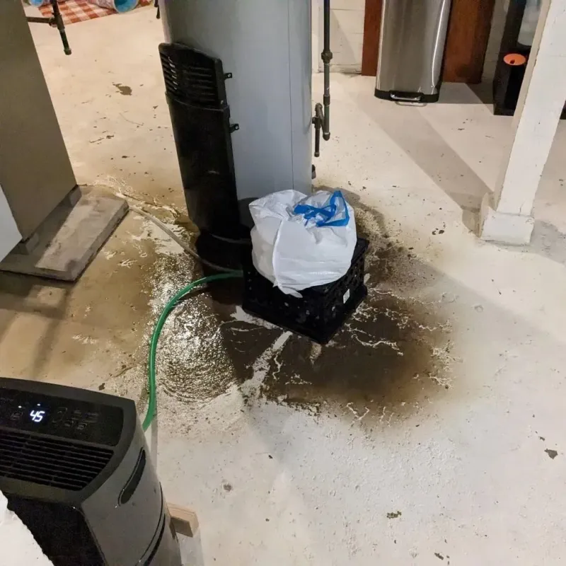 Sewage Backup Cleanup Service in La Grange, NC